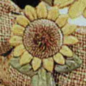 Sunflower Scoops