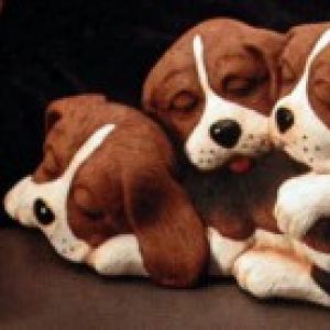 Pile Of Puppies Small