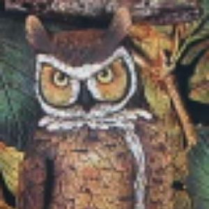 Wildlife Owl (perches on a  log - log not included)