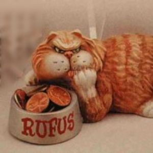 Rufus the Cat With Feed bowl