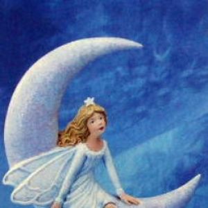Moonbeam Fairy 8