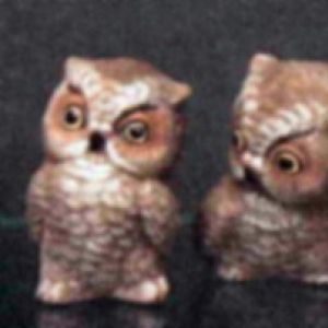 Wise Owls 2