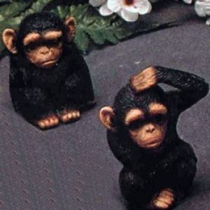 Monkeys 2