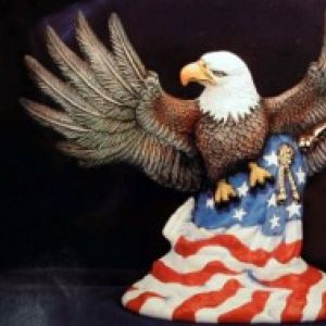Patriotic Eagle 9