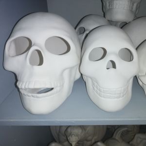 Xlarge Skull