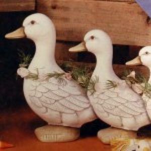 Duck Parade