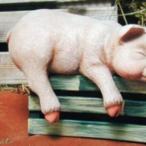 Pig Shelf Sleeper