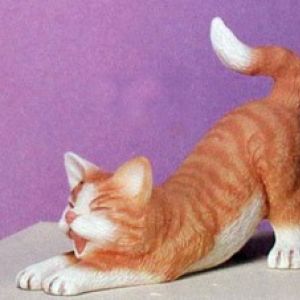 Kitten Stretching