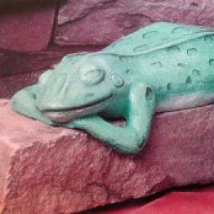Shelf Frog Sleeping