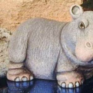 Baby Hippo Standing