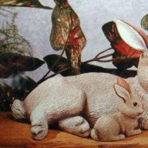 Nurturing Rabbit Small