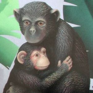 Nurturing Chimp Large