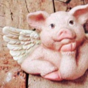 Shelf Pig With Wings
