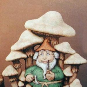 Gnome In Mushroom