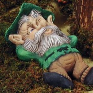 Snoozer Gnome 15