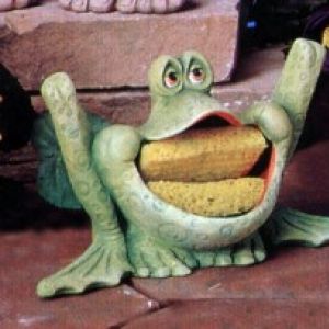Oggy Froggy Scrubby