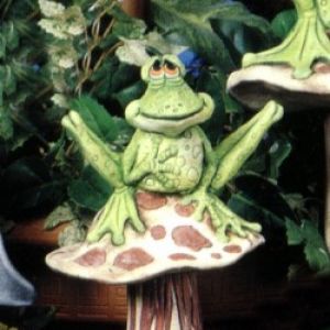 Frog On Mushroom Med