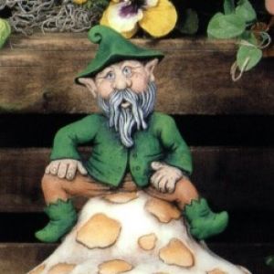 Feisty Gnome On Mushroom