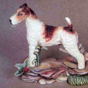 Fox Terrier Dog