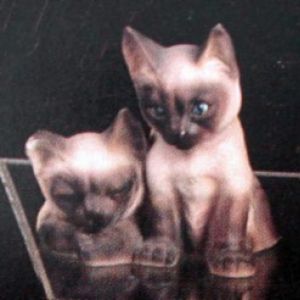 Siamese Kittens 5.5