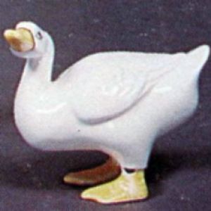 Duck 6