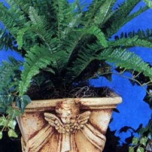 4-Sided Planter with Cherub Large